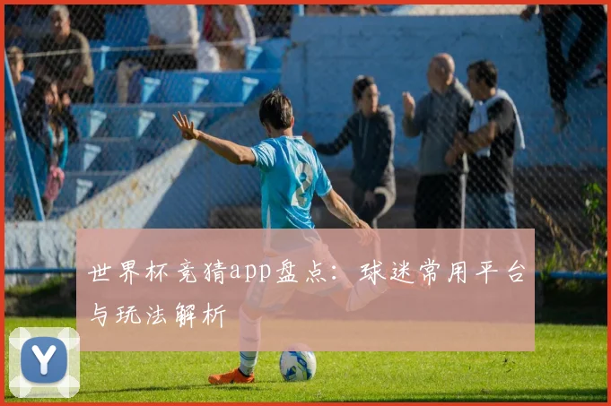 世界杯竞猜app盘点：球迷常用平台与玩法解析
