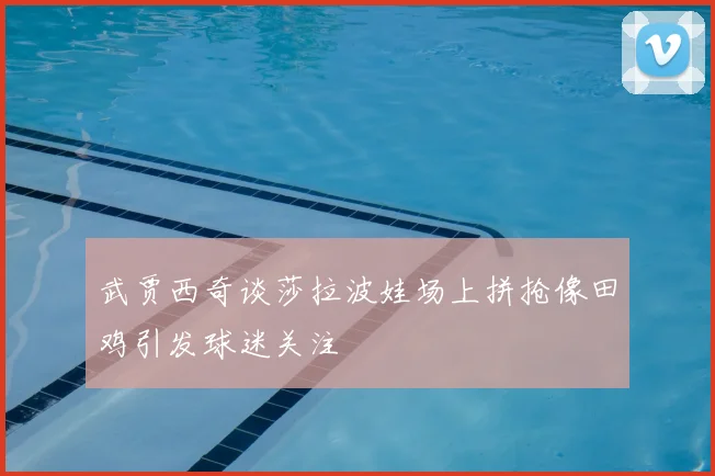 武贾西奇谈莎拉波娃场上拼抢像田鸡引发球迷关注