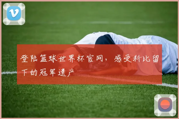 登陆篮球世界杯官网，感受科比留下的冠军遗产