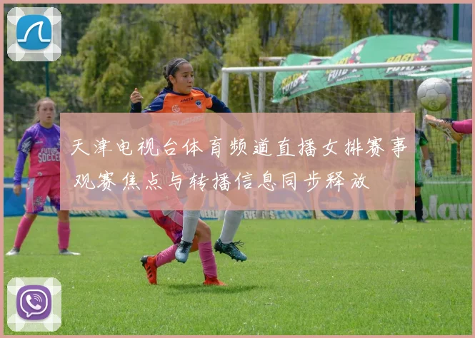天津电视台体育频道直播女排赛事 观赛焦点与转播信息同步释放