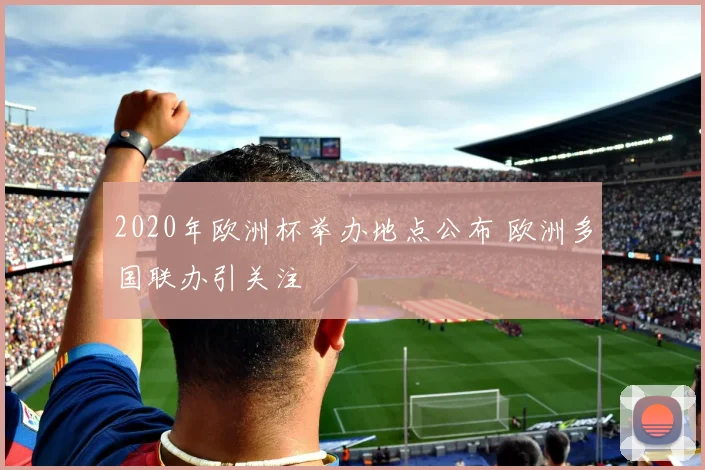 2020年欧洲杯举办地点公布 欧洲多国联办引关注