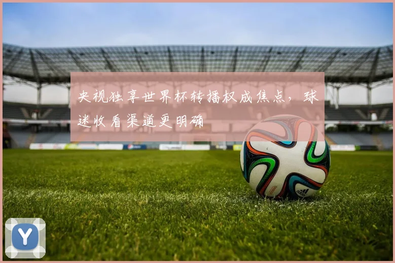 央视独享世界杯转播权成焦点，球迷收看渠道更明确