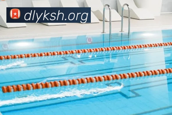 华体官网登录入口手机版平台生态图